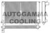 FIAT 46213678 Radiator, engine cooling